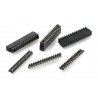 2 x 15 PinHeader BUS-Buchse SMD für 13,2-Modul (10 Sätze)