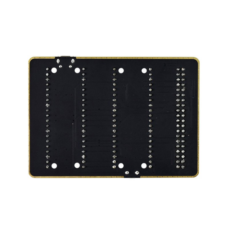 GPIO Expander For Raspberry Pi Pico, 1x Raspberry Pi Standard