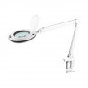 Tischlampe mit 5D-Lupe und LED-Hintergrundbeleuchtung - Rebel