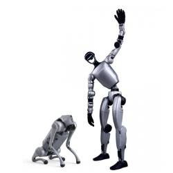 Humanoide und Roboterhunde