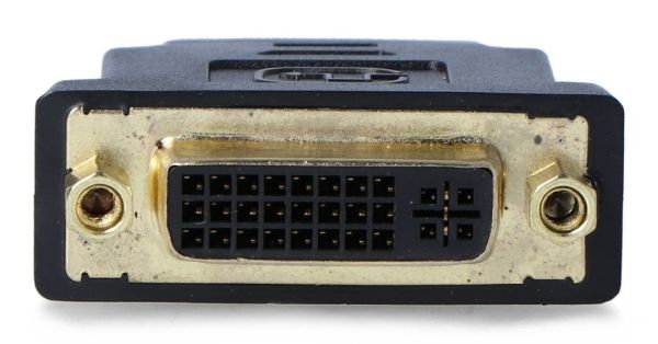 DVI-Buchse und HDMI-DVI-Adapter i