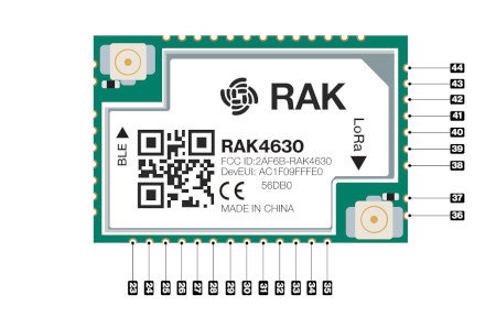 RAK4630 Modul Pinouts von RAK Wireless